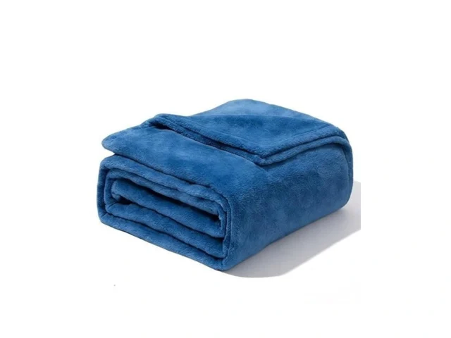 Cheraisa Flannel Fleece Bed Blankets 300gsm Soft… Coupon