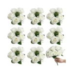 Verified image for post 278426