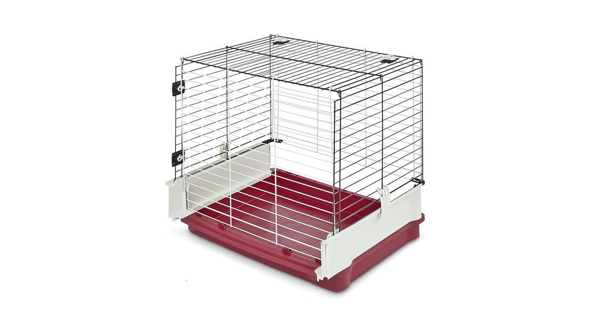 Verified image for post 278504