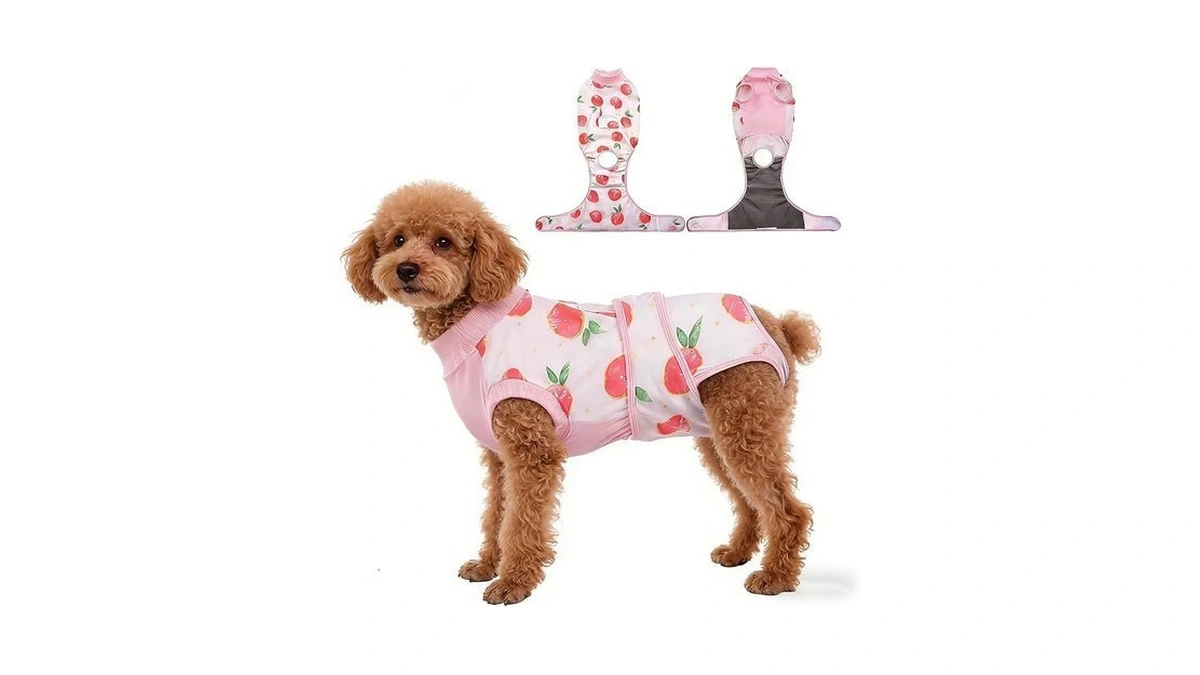 Verified image for post 278658