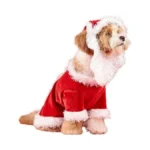 Verified image for post 279192