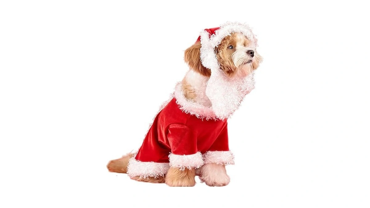 Verified image for post 279192