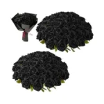 Amazon coupon: Fanfantoey Black Roses Artificial Flower