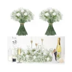 Verified image for post 279602