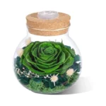 Verified image for post 279728