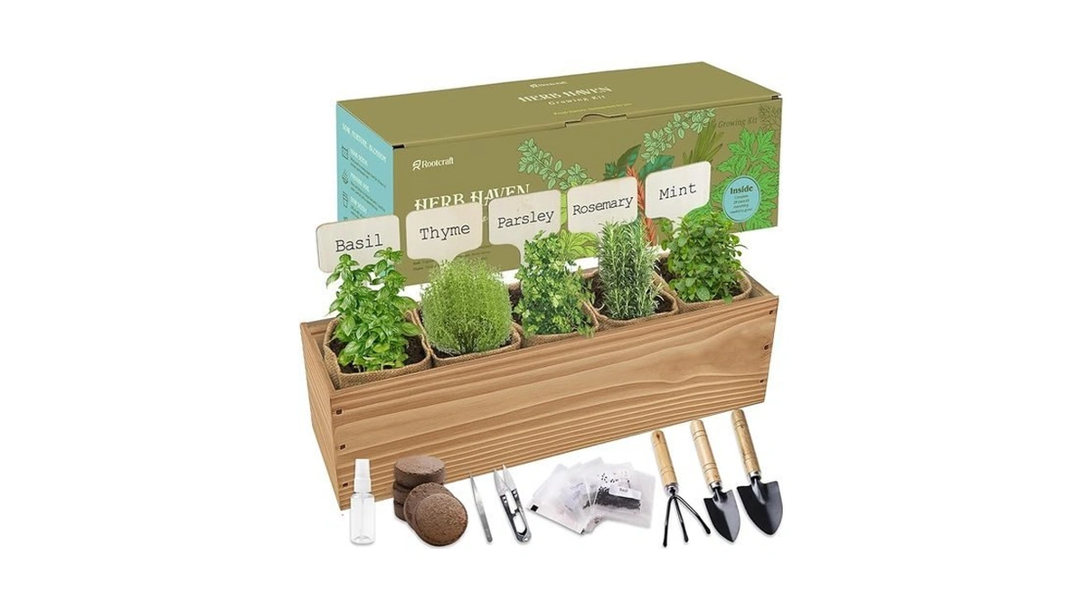 Verified image for post 280586