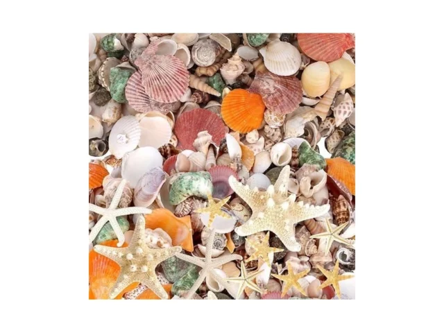 Weoxpr Mixed Seashells Starfish Decor – 170 Pcs… Code