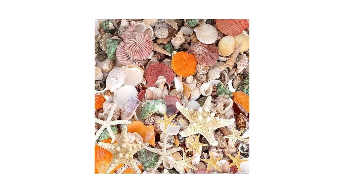 Verified image for post 280686