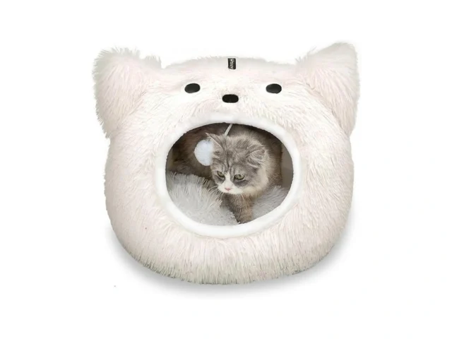 Catism Cat Bed Cat Beds For Indoor Cats Cats Bed… Code