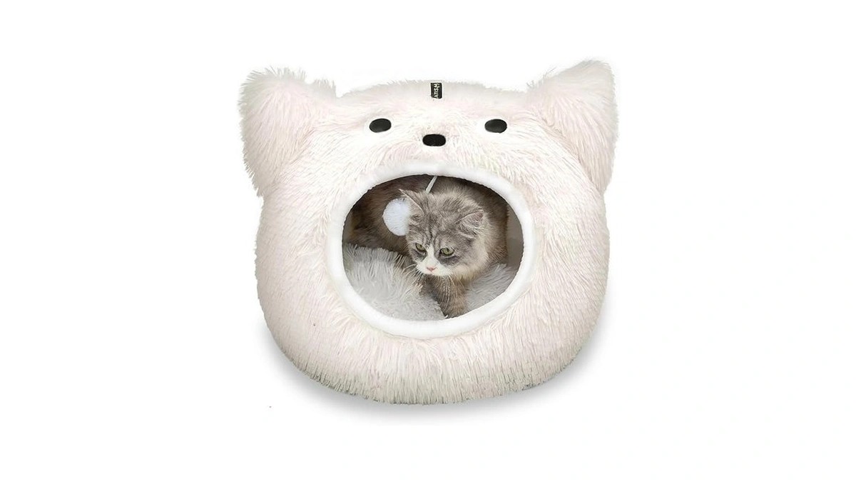 Verified image for post 280962