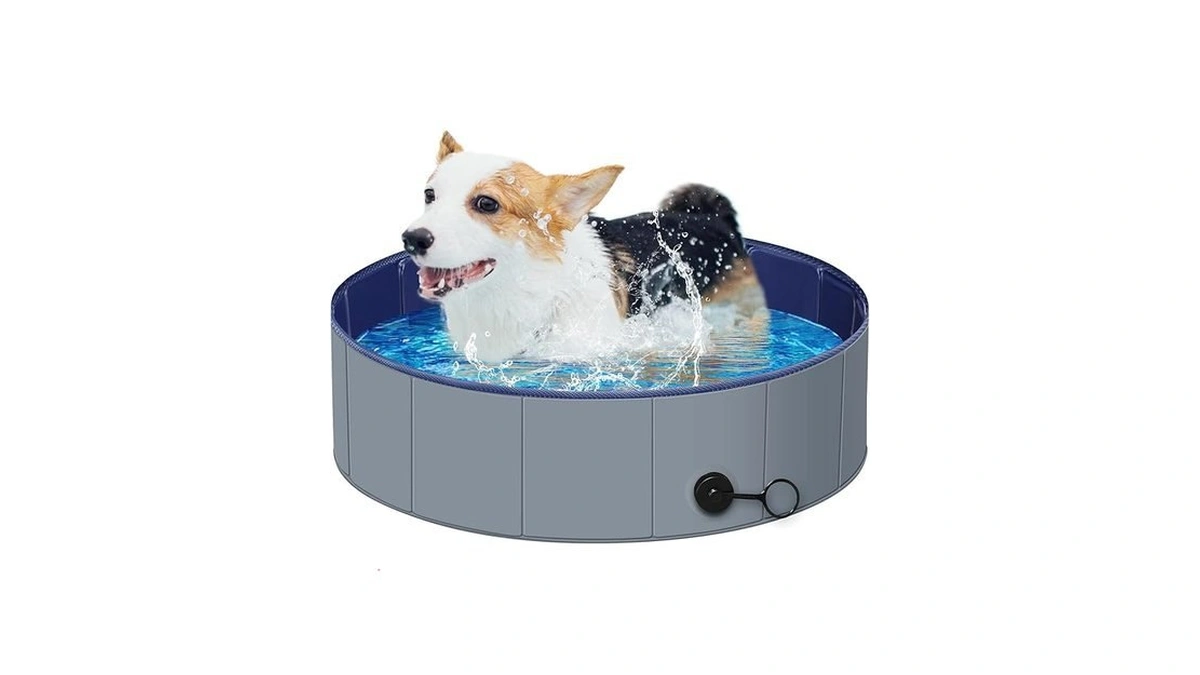 Verified image for post 281530