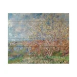 Verified image for post 281826