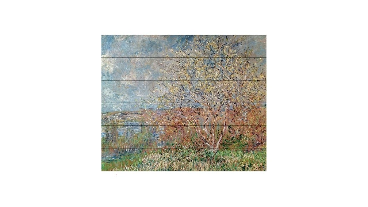 Verified image for post 281826