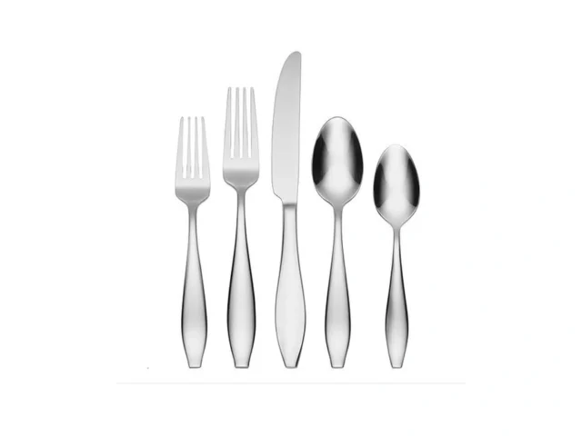 Oneida H008065b Comet 65 Piece Everyday Flatware… Coupon