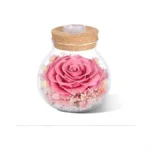 Verified image for post 281950