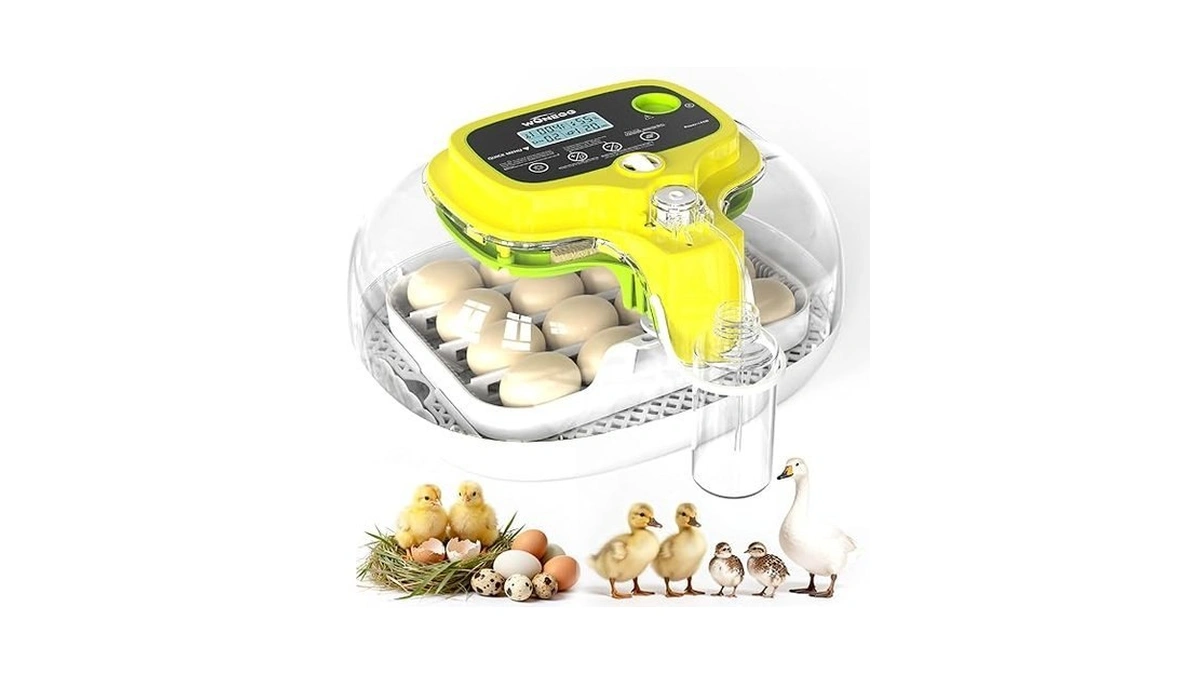 Verified image for post 282360