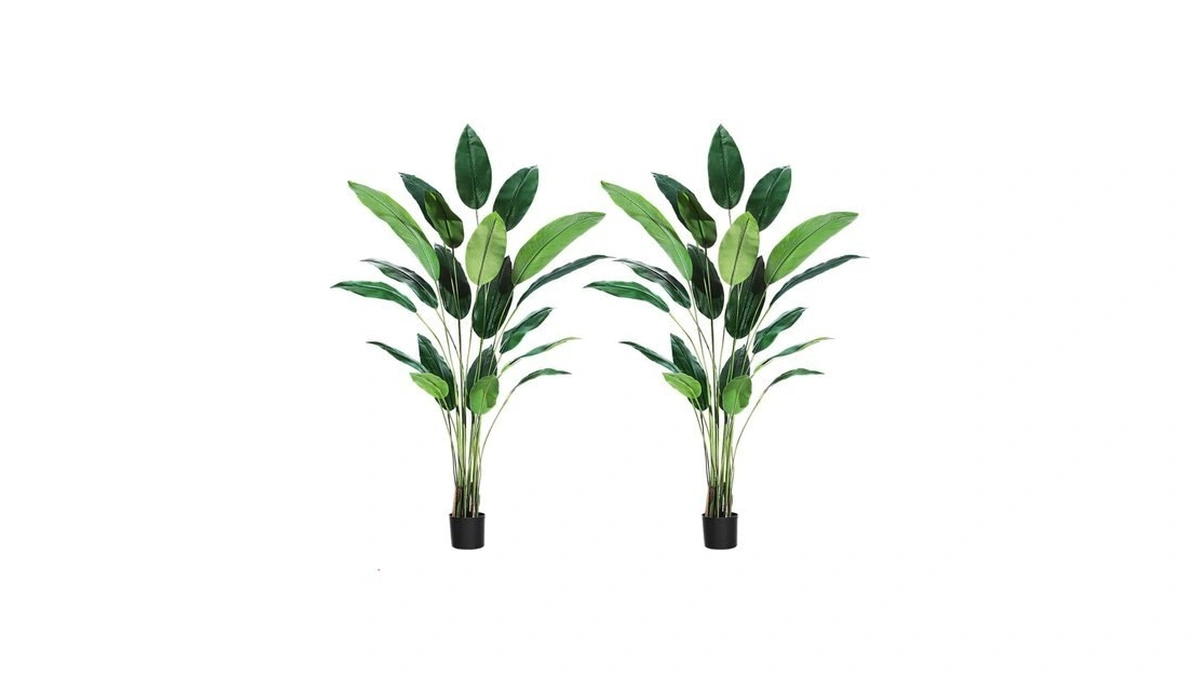 Verified image for post 282602