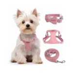 Verified image for post 282842