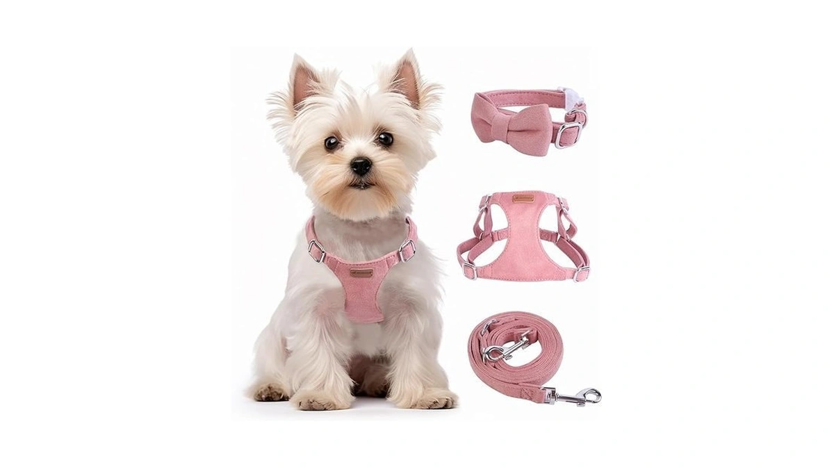 Verified image for post 282842