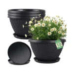 Verified image for post 282966