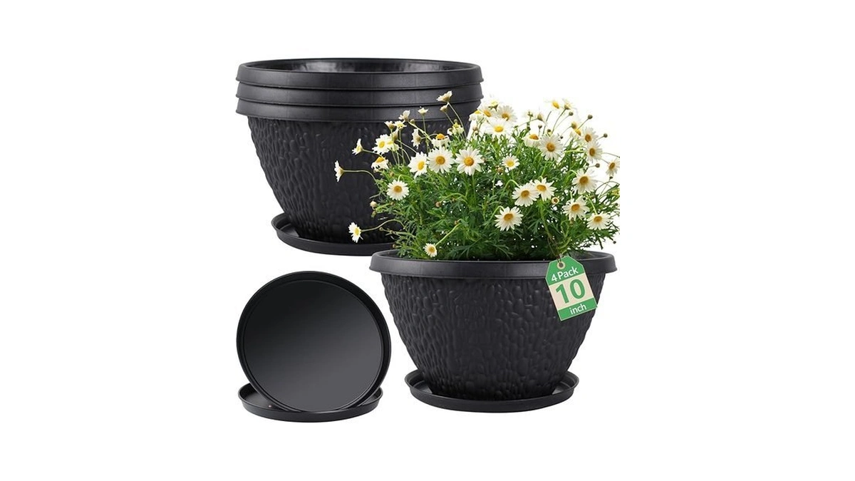 Verified image for post 282966