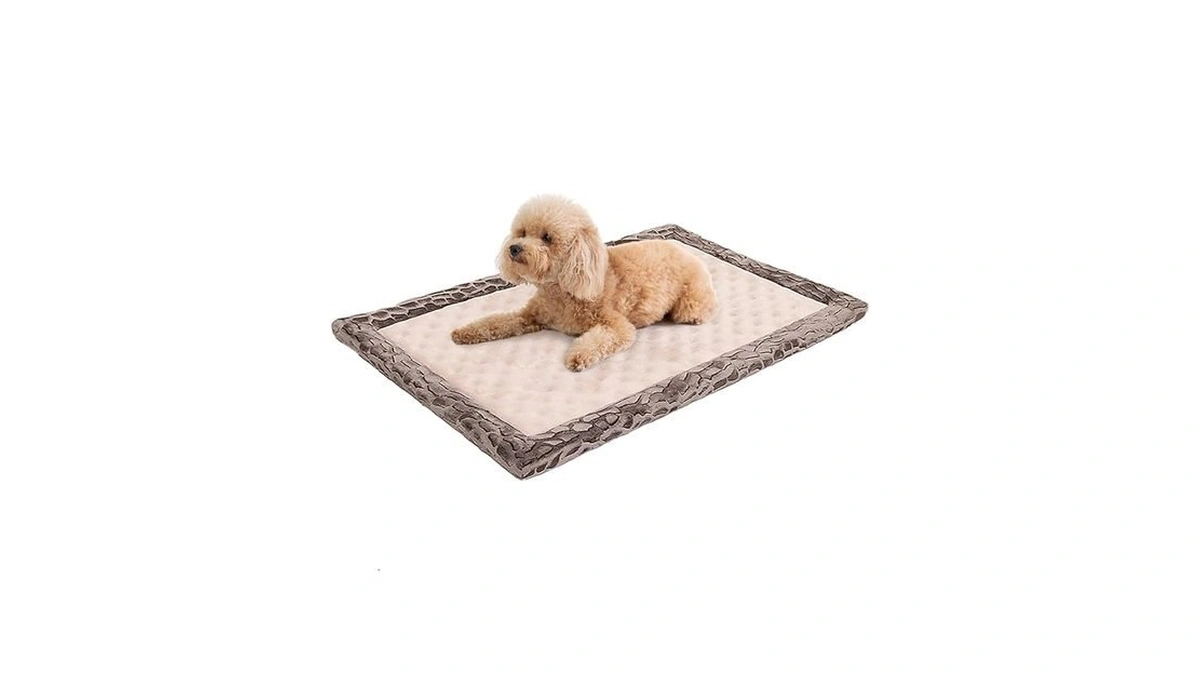 Verified image for post 285206