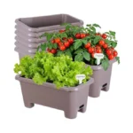 Verified image for post 285536