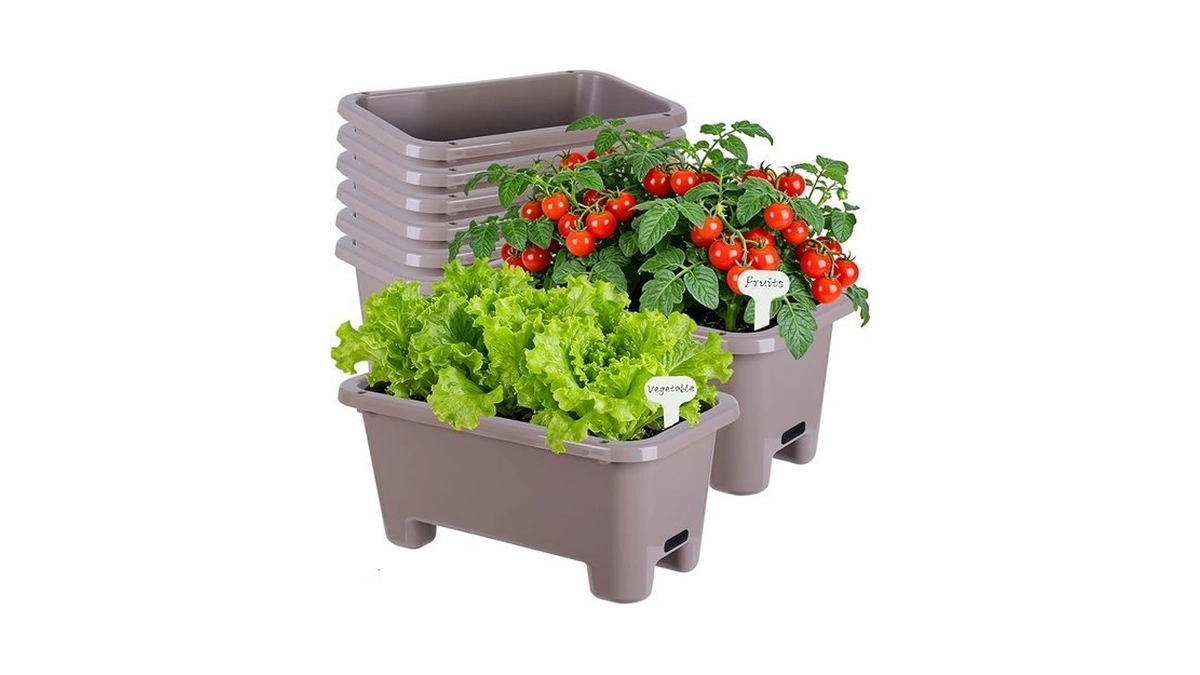 Verified image for post 285536