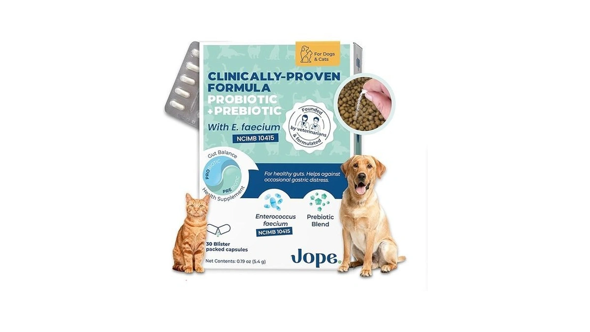 Verified image for post 285720