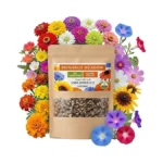 Verified image for post 286435