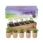 Verified image for post 286709