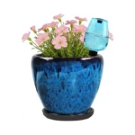 Verified image for post 286951