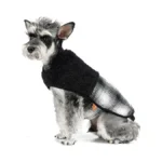 Verified image for post 288383