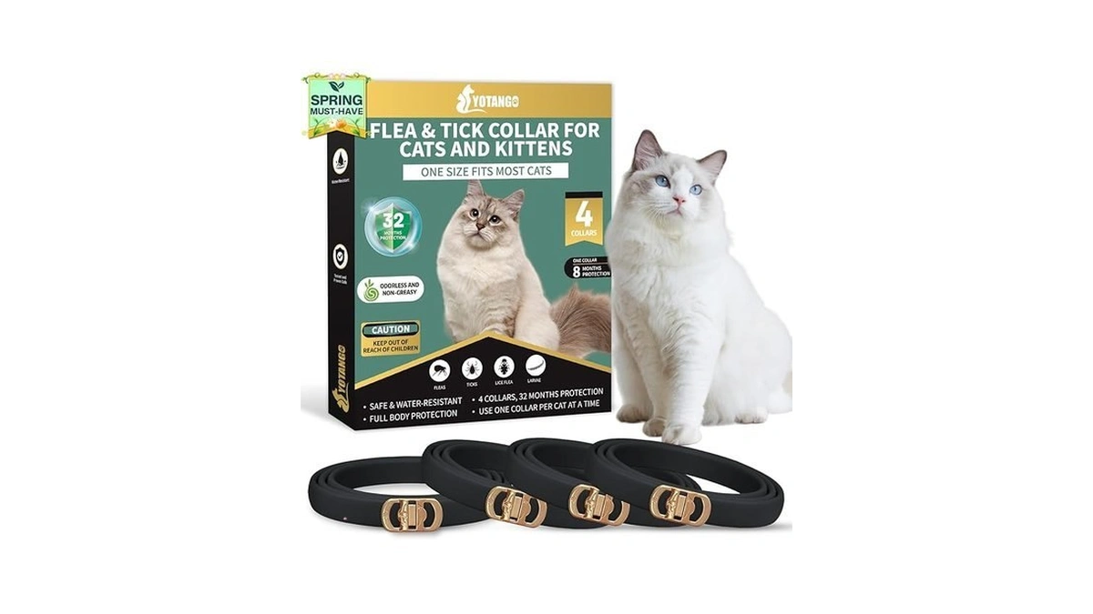 Verified image for post 288435