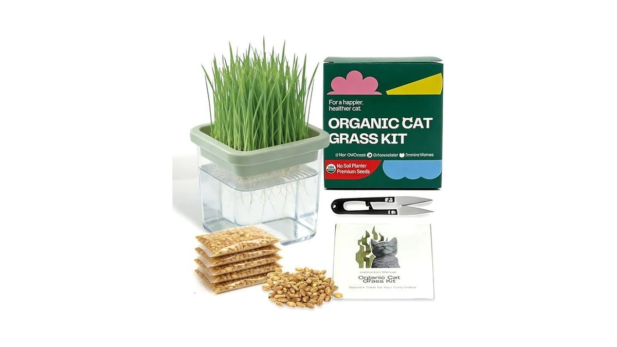 Verified image for post 288559