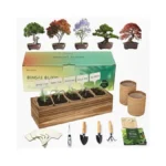 Verified image for post 289071