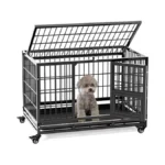 Verified image for post 289123