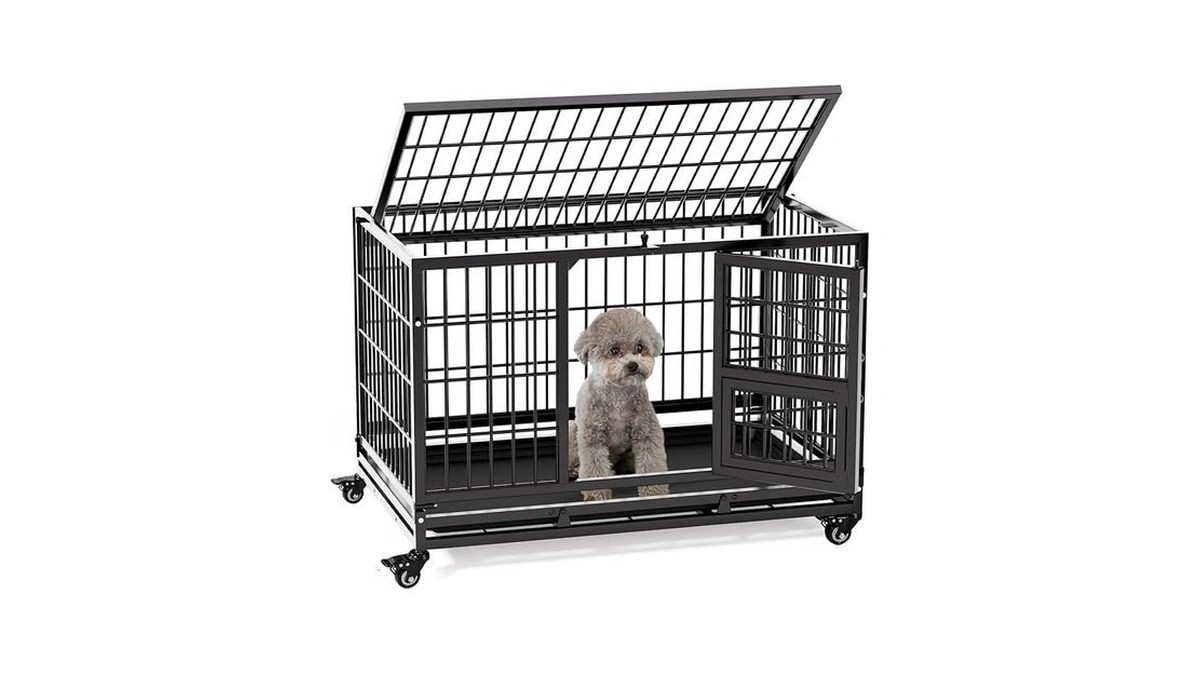 Verified image for post 289123