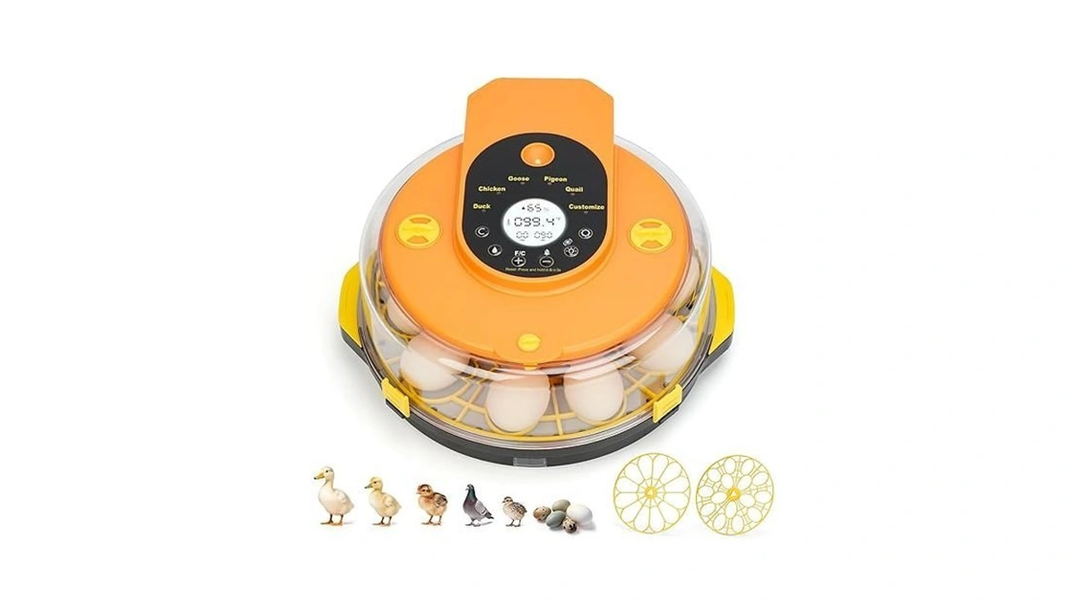 Verified image for post 289681