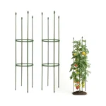 Verified image for post 290841