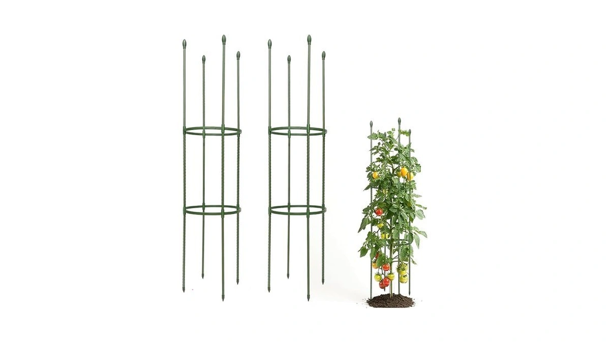 Verified image for post 290841