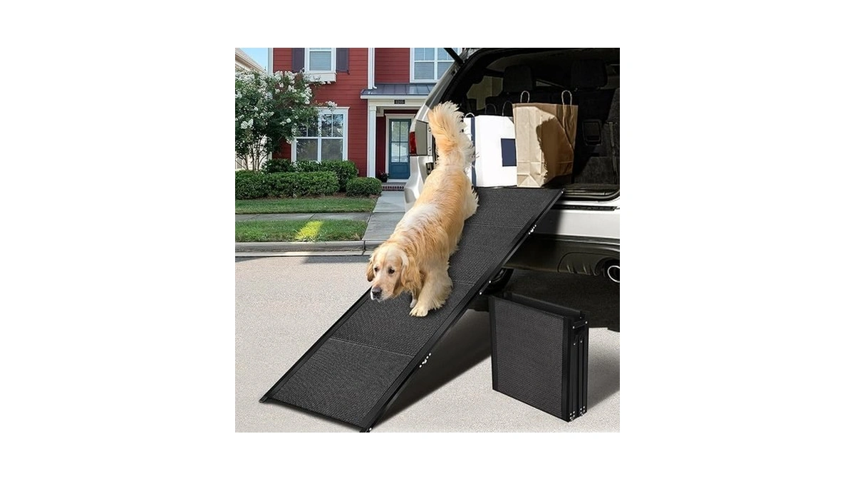 Verified image for post 291019