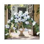 Verified image for post 291259