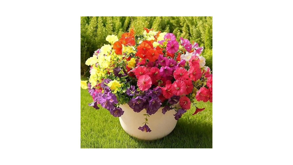 Verified image for post 291281