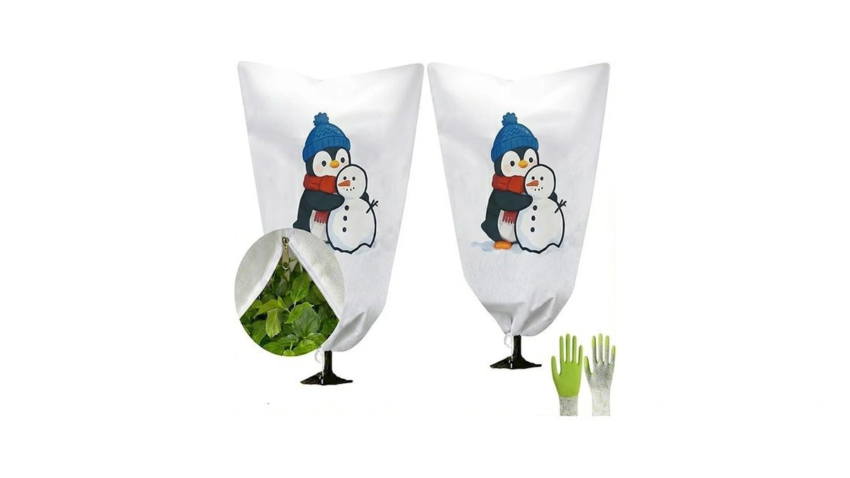 Verified image for post 292007