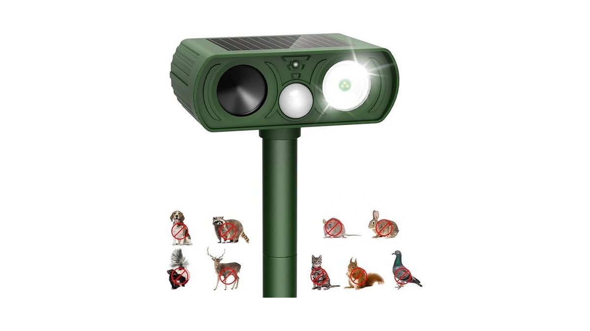 Verified image for post 292073