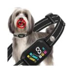 Verified image for post 293455