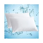 Verified image for post 293745