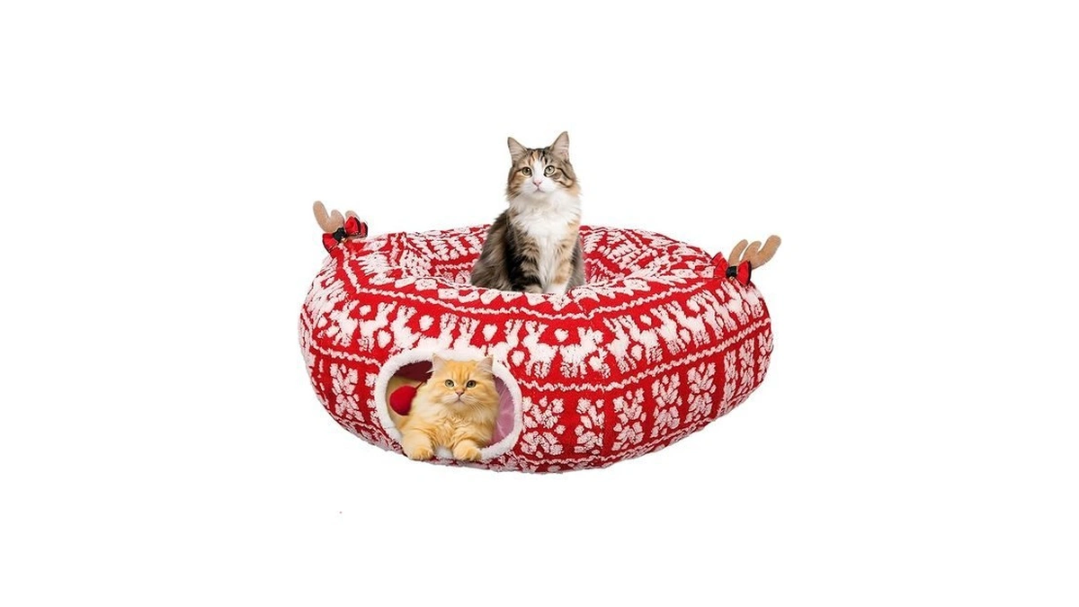 Verified image for post 294791