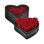 Verified image for post 294909